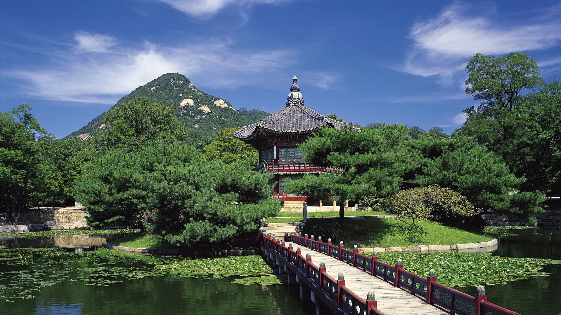 世界登山青年纪录挑战安全审核通过队伍名单公布，2021年登山比赛