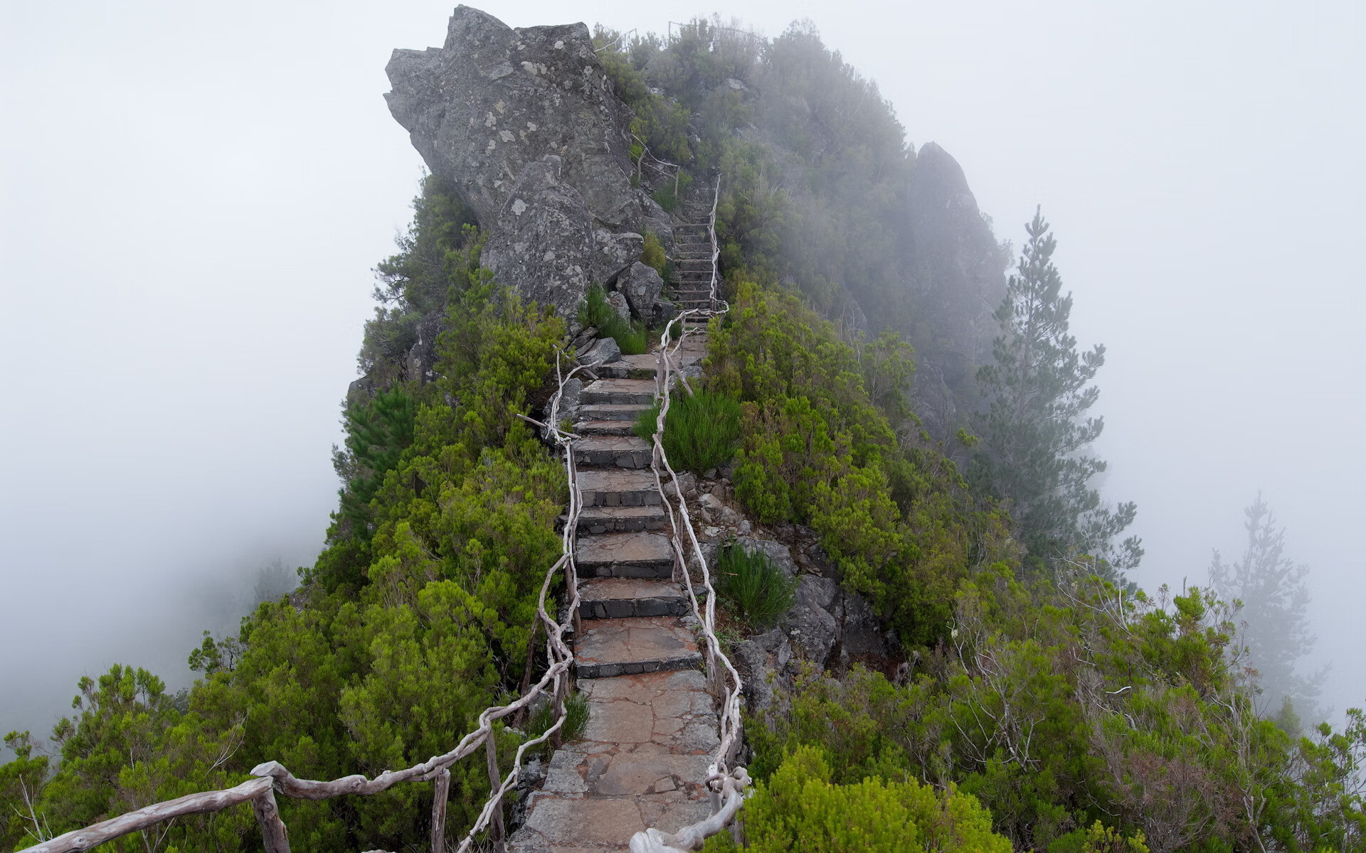 世界短道速滑教练能力认证第十六期报名启动，2020年世界短道速滑比赛视频